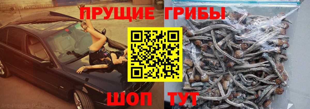 наркотики  Вход с VPN  Ржев  Галлюциногенные грибы Cubensis 